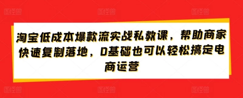 淘宝低成本攻略,低成本打造与流量获取,0基础也可以轻松搞定电商运营