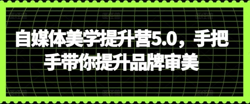 2024惊喜大派送,自媒体美学提升训练营5.0,手把手带你提升品牌审美