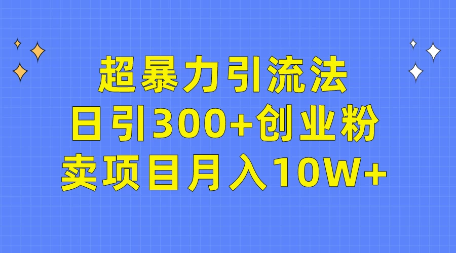 2024轻松超暴力引流法,日吸创业粉,卖项目月入十万