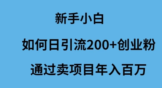 看看新手小白怎么样引流?创业粉项目年入百万