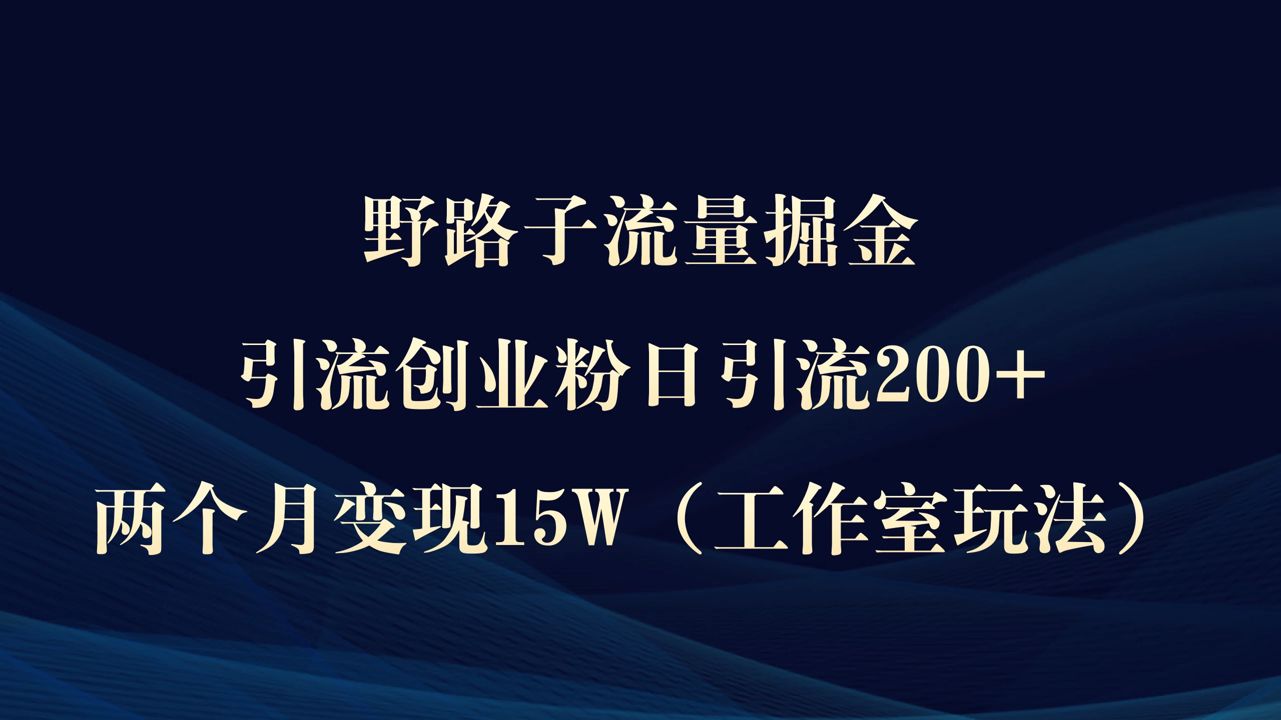 2024野路子流量掘金，引流两个月变现15W
