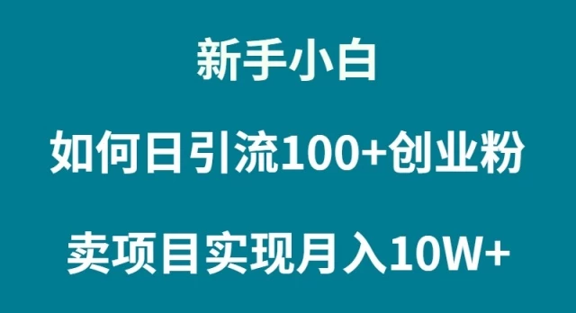 【震惊】普通人小白如何通过卖项目实现月入10W+