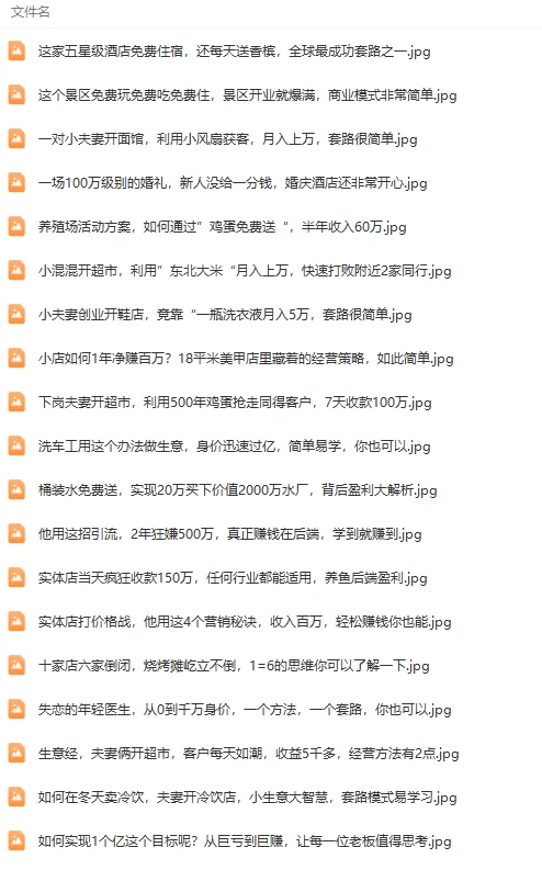 【大揭秘】真实有效391套商业模式，年入几十到几百万案例解析（电子书+视频+图文）